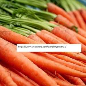 Scarlet Nantes Carrot Seeds - Vegetable Seeds - BOGO